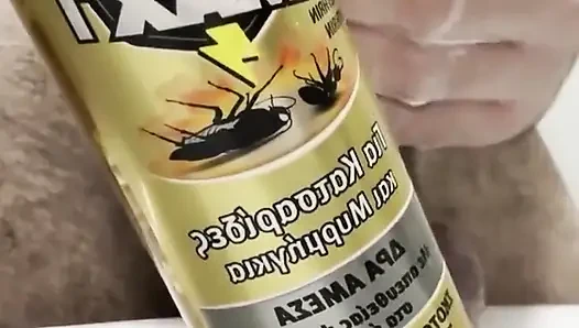 Raid Cockroach Spray on Cock