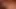 BBC vahşice beyonca'nın beyaz amını dev bir yapay penis ile sikiyor