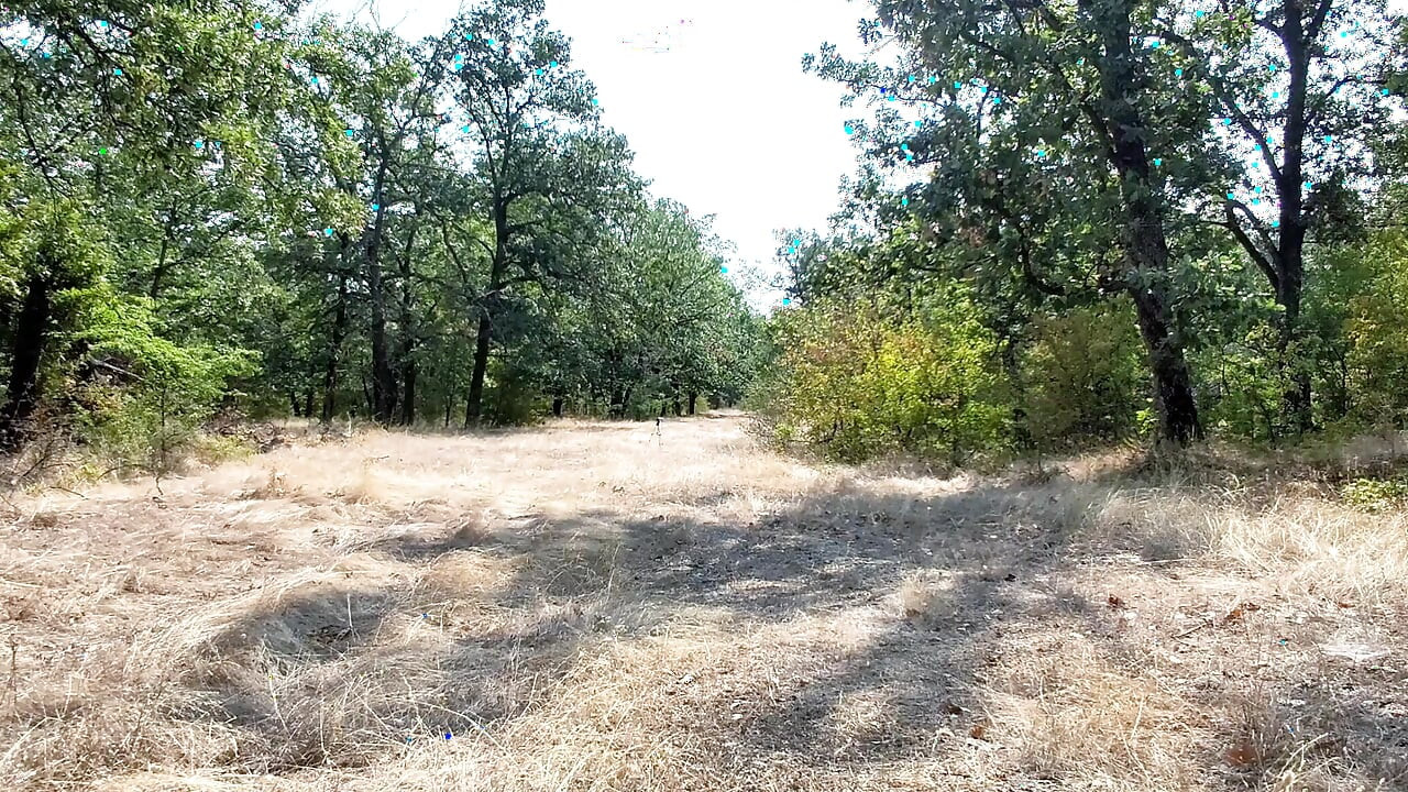 Slave Walks Around in a Chastity Belt and Double Penetrates the Highway