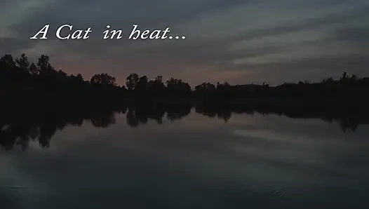 Женщина-кошка в течке