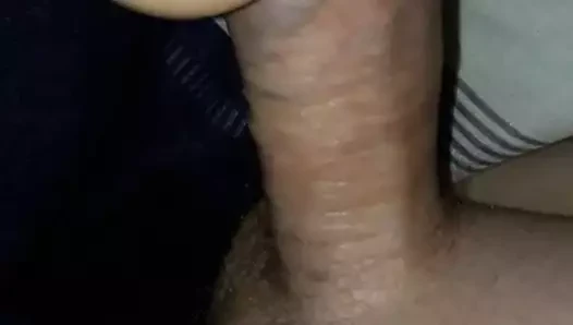 Creampie kedi oyuncak