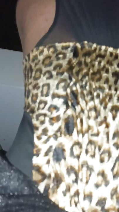 Fuck My Cat