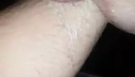 Prelepa pesnica