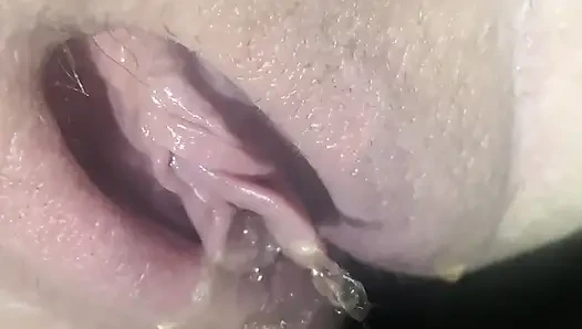 Evelle’s Best Piss Compilation