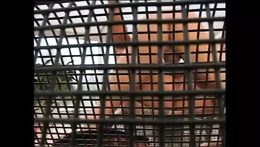 Возбужденная милфа наслаждается как шлюшка с огромным членом внутри, который кончает на ее киску