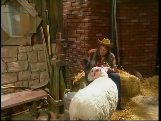 Busty girl in pig tails rides a huge cock in outbuilding