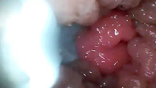 Kedekatan ekstrem mengubah watcher menjadi aktif, peserta yang lapar