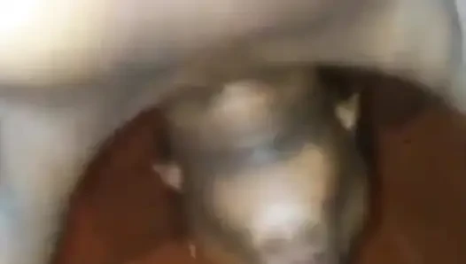Ateşli ve tatlı amcık