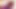 New Porn: BBC Worship Hallelujah Johnson (Sounds like you trying to suck my dick in this bathroom) Tall Dark Chocolate Muscles T