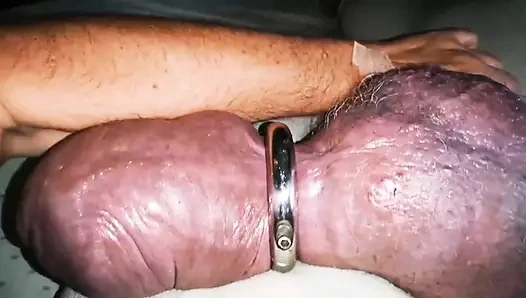 Belgian porn video – Ever Seen a Verbal Talking Silicone Cock