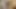 Bts Amazon i lizanje preuzimaju kontrolu