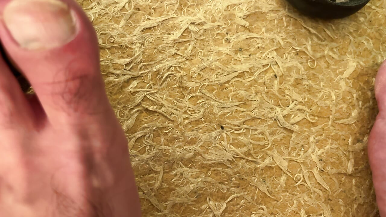 Earl Smile Dark Brown Ribbed Socks Fetish - Bedroom Solo