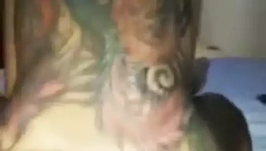 Latin kwlara kavalaei