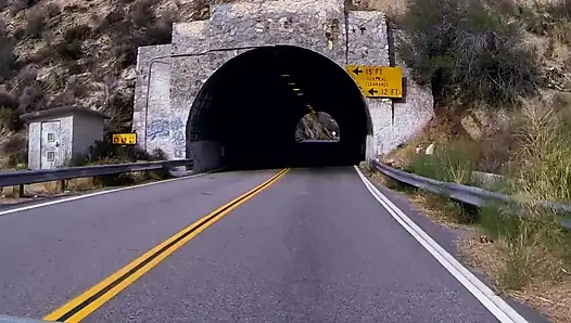 Lesbian Utopia: Lesbians 6