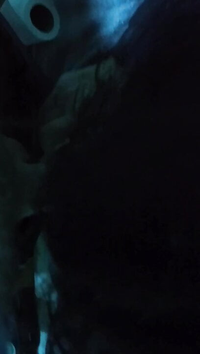 彼女はまたやっています