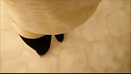 Siyah tozluk ve elbise topuklu ayakkabılar