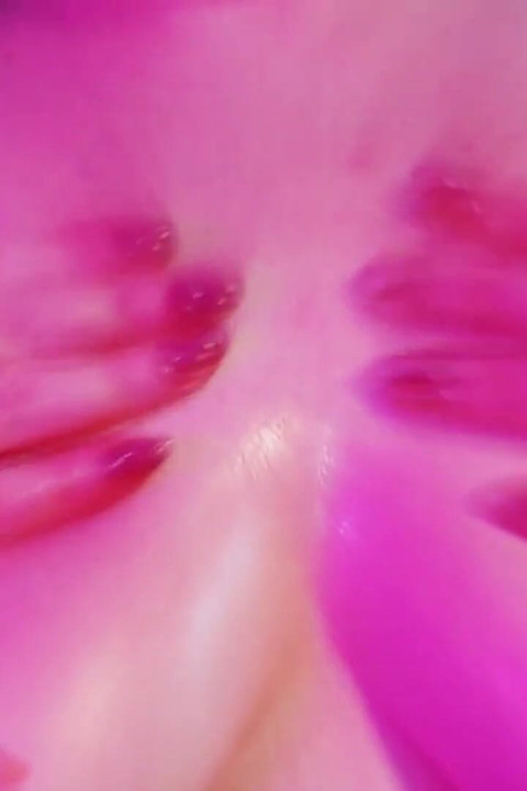 วาเลนไทน์ของกู
