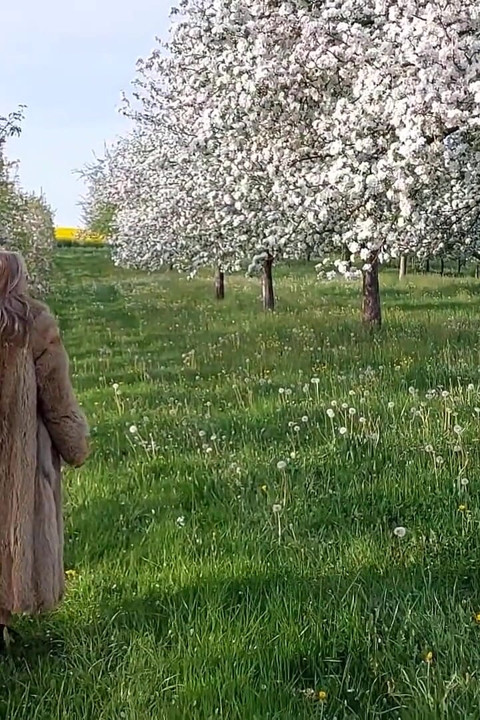 Wanita dewasa berjalan di luar dengan bodysuit tembus pandang!