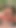 Sloppy Deepthroats, Blowjob And Ball Licking In the Forest - Luna Doll