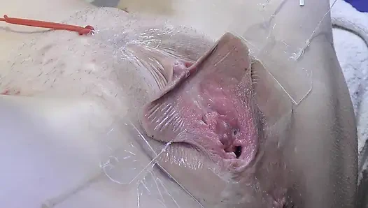 3 Licking Pussy Spread Far From Very Close