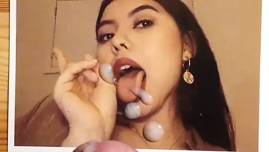 haraç2