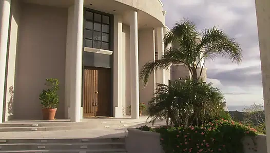 Hairy brunette with big tits gets slammed from behind