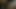 A big cock licking precum himself