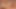 Erotic Massage with Isabella De Laa