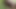 Gloryhole Latino uncut thick cock shoots big