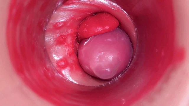 Inside a Camgirl Cervix POV Camera in Vagina with Big Dick Toy