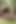 Midilli kızlar dizleri için aşırı - kaslarını görmek istiyorum! Üst düzey domina lara lane ve kölesi Gina tarafından