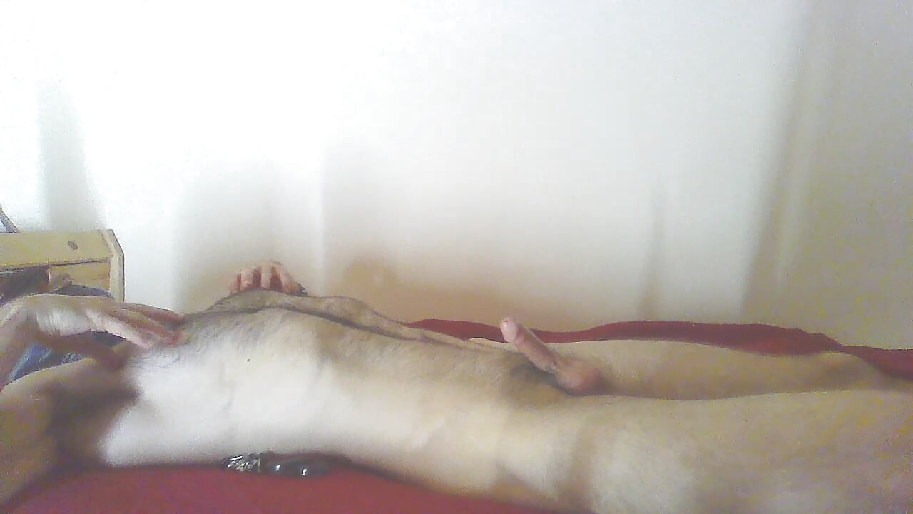 Masked  prostate and cock play .
