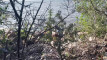 Pratinjau video