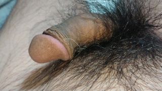 Penis normal pulă normală pula normală. gaură de cur.