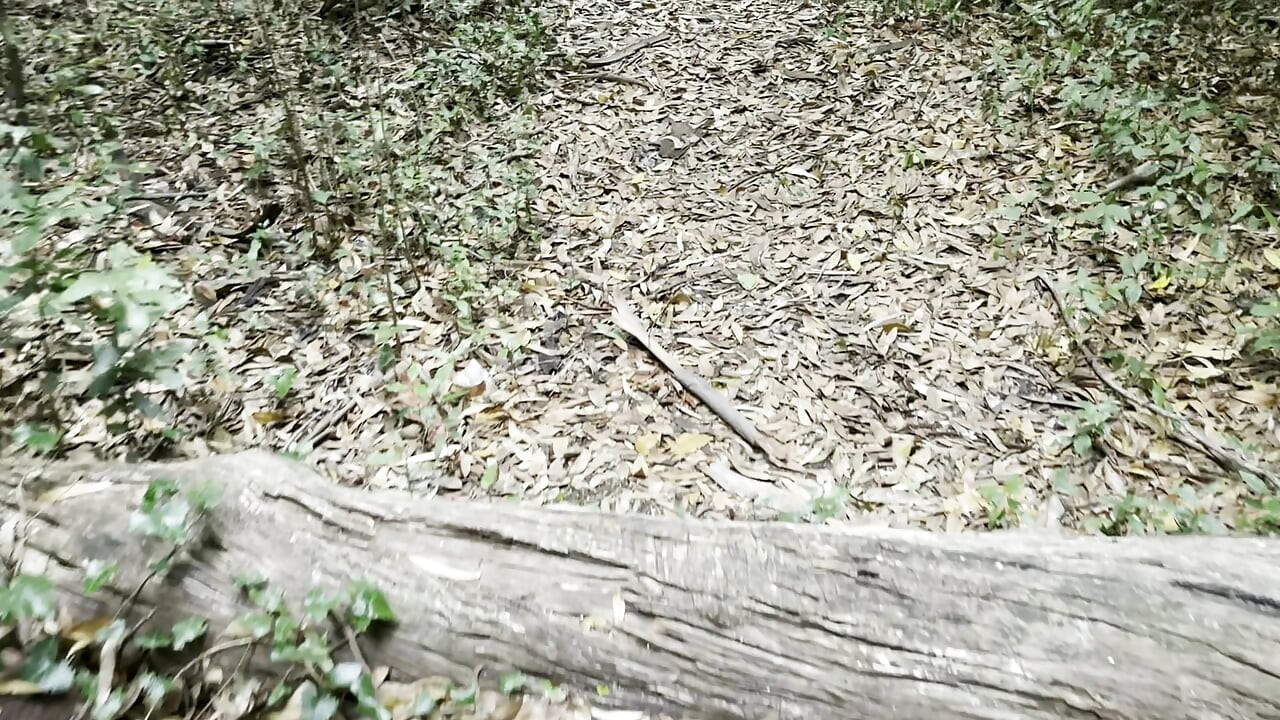 While out for a walk in the public park with my stepsister, I find her naked.