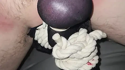 Gadis penurut ini muasin memeknya pakai stoking nilon, beberapa tali, dan ballbusting