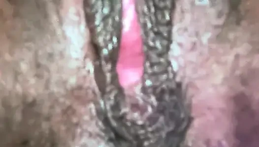 All My Pussy