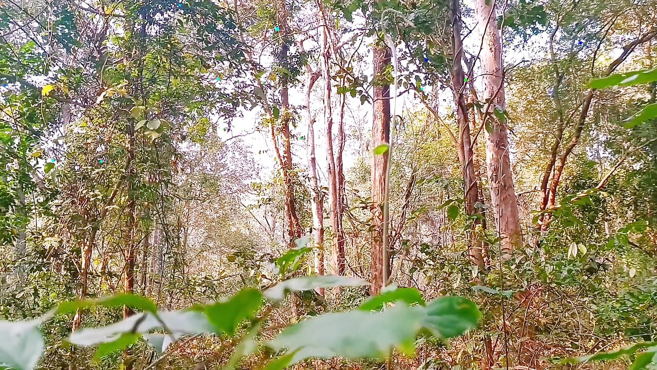 Desi buitenshuis jungle neuken. Stiefmoeder en stiefzoon hardcore neuken in het bos. Telugu vuile praat.