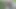 Boxing porn video – Dick In A Box 55