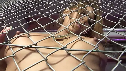 Genç Asyalı amını yalatıyor ve sikiyor