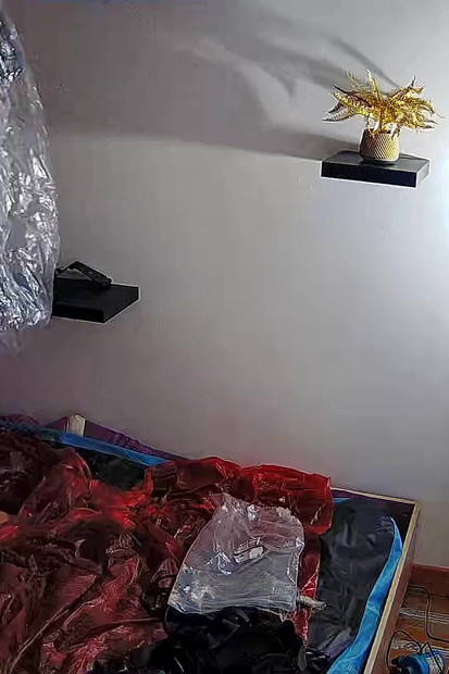 Pregled videozapisa