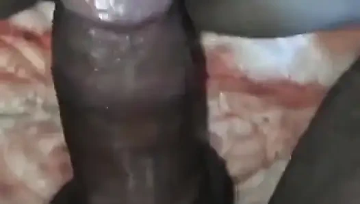 Sex Arab Egyptian Porno