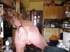 Pregled videozapisa