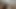 Two naked kneeled whores worshiping the toilet, dirty talking