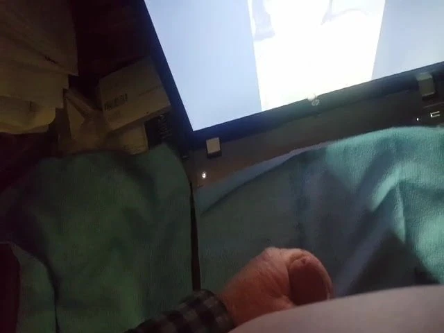 Tribute 2