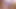 Kakak iparku yang baru-baru ini terpisah dan sangat sange harus hidup dengan orang-orang untuk sementara waktu
