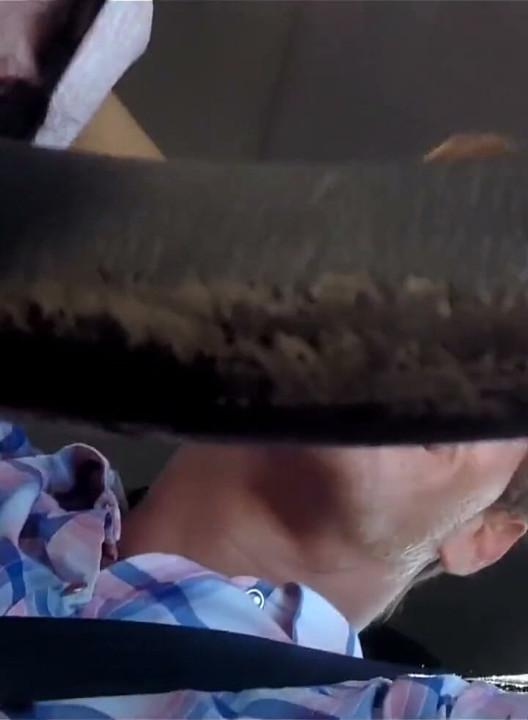 Sucking Cock While Driving