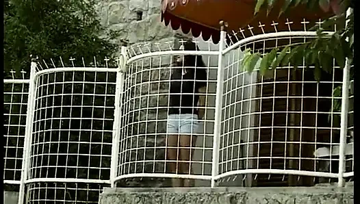 Orman arıları - dvd