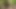 komm in meinen mund, nachdem er mich heute im wald gefickt hat