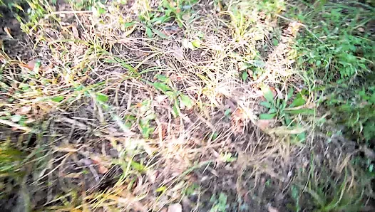 SEDUTED MY STEPBRO AND HE DESTROYED MY ASS IN THE MIDDLE OF THE ROAD